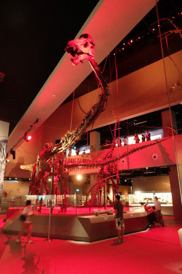 P4260285-copy.jpg