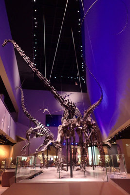 P4260292-copy.jpg