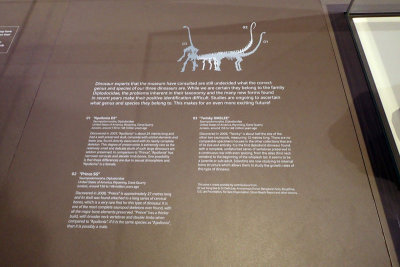 P4260294-copy.jpg