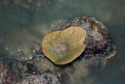DSC_5746.jpg