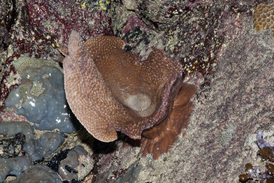 DSC_5749.jpg