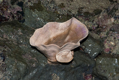 DSC_5751.jpg