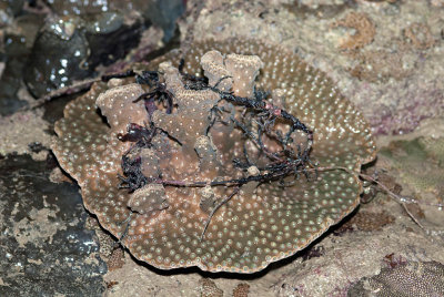 DSC_5754.jpg