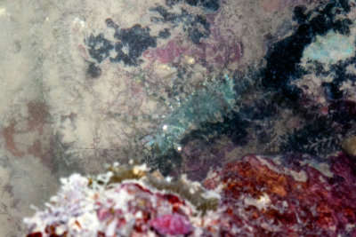 DSC_5758.jpg