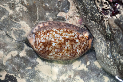 DSC_5759.jpg