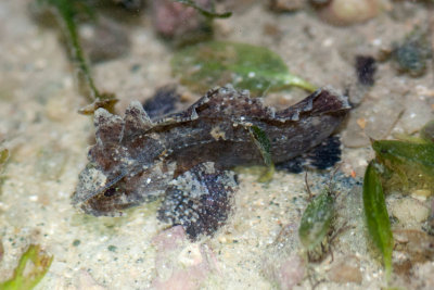 DSC_5818.jpg