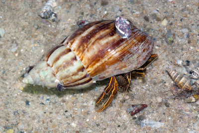 DSC_5820.jpg