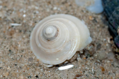DSC_5822.jpg