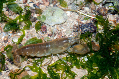 DSC_5960.jpg