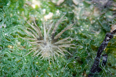 DSC_5962.jpg