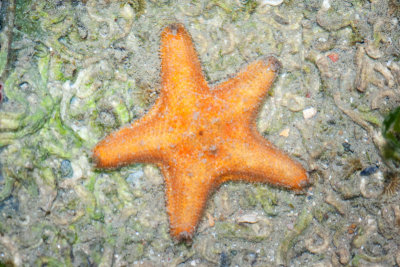 DSC_5963.jpg