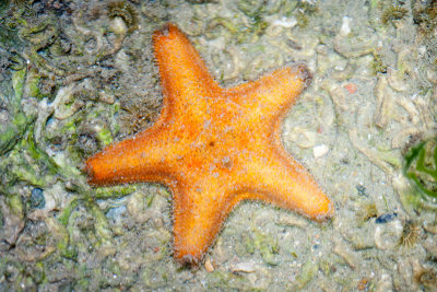 DSC_5964.jpg