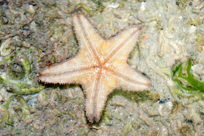 DSC_5965.jpg