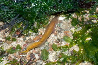 DSC_5967.jpg