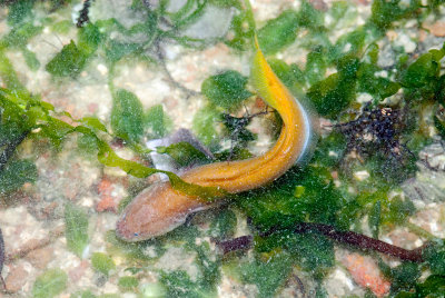 DSC_5969.jpg