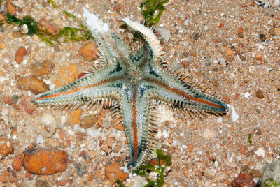 DSC_5973.jpg