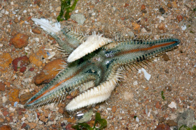 DSC_5974.jpg