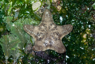 DSC_5977.jpg