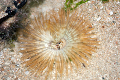 DSC_5978.jpg