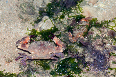 DSC_5979.jpg