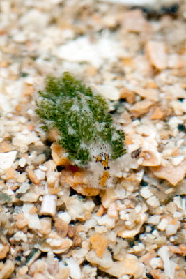 DSC_5983.jpg
