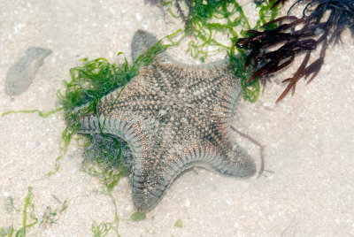DSC_5984.jpg