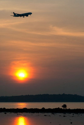 DSC_5993.jpg