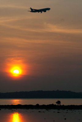 DSC_5995.jpg