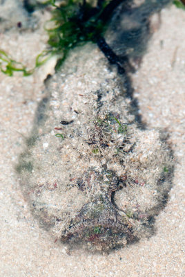 DSC_5996.jpg