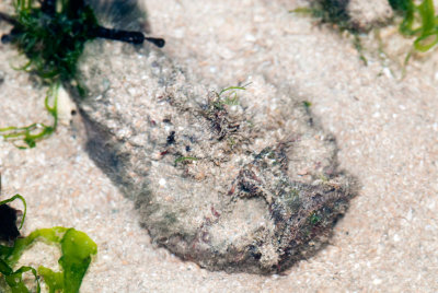 DSC_5997.jpg