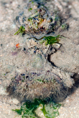 DSC_6003.jpg