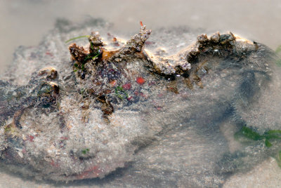 DSC_6004.jpg