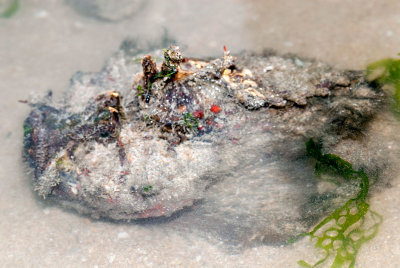 DSC_6005.jpg
