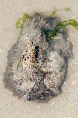 DSC_6006.jpg