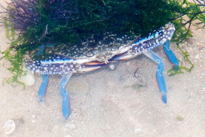 DSC_6020.jpg