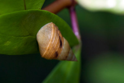 DSC_6029.jpg