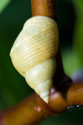 DSC_6031.jpg
