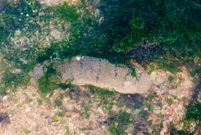 DSC_6034.jpg