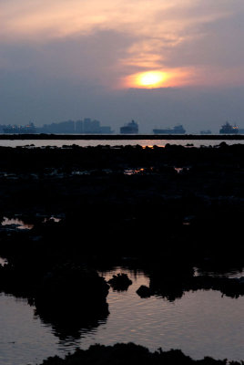 DSC_6103.jpg