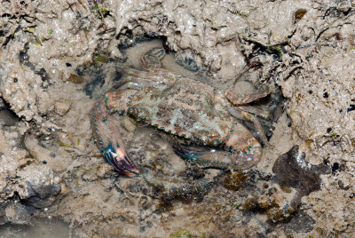 DSC_6106.jpg