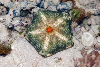 DSC_6109.jpg