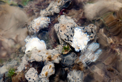 DSC_6112.jpg