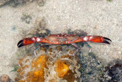 DSC_6147.jpg