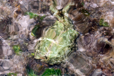 DSC_6148.jpg