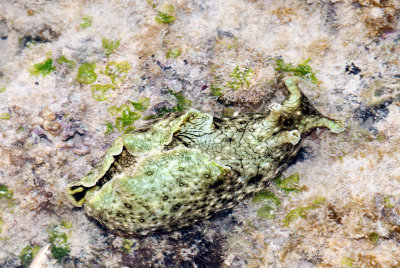 DSC_6150.jpg