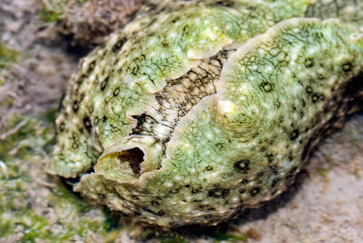 DSC_6154.jpg