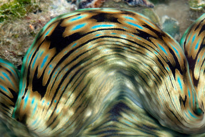 DSC_6172.jpg
