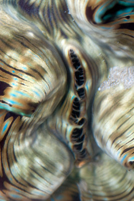 DSC_6173.jpg