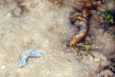DSC_6176.jpg