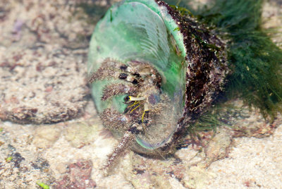 DSC_8455.jpg